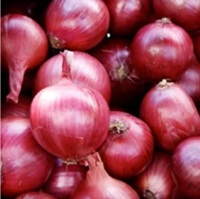 Onion
