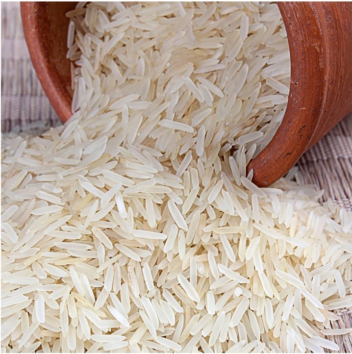 Rice Field